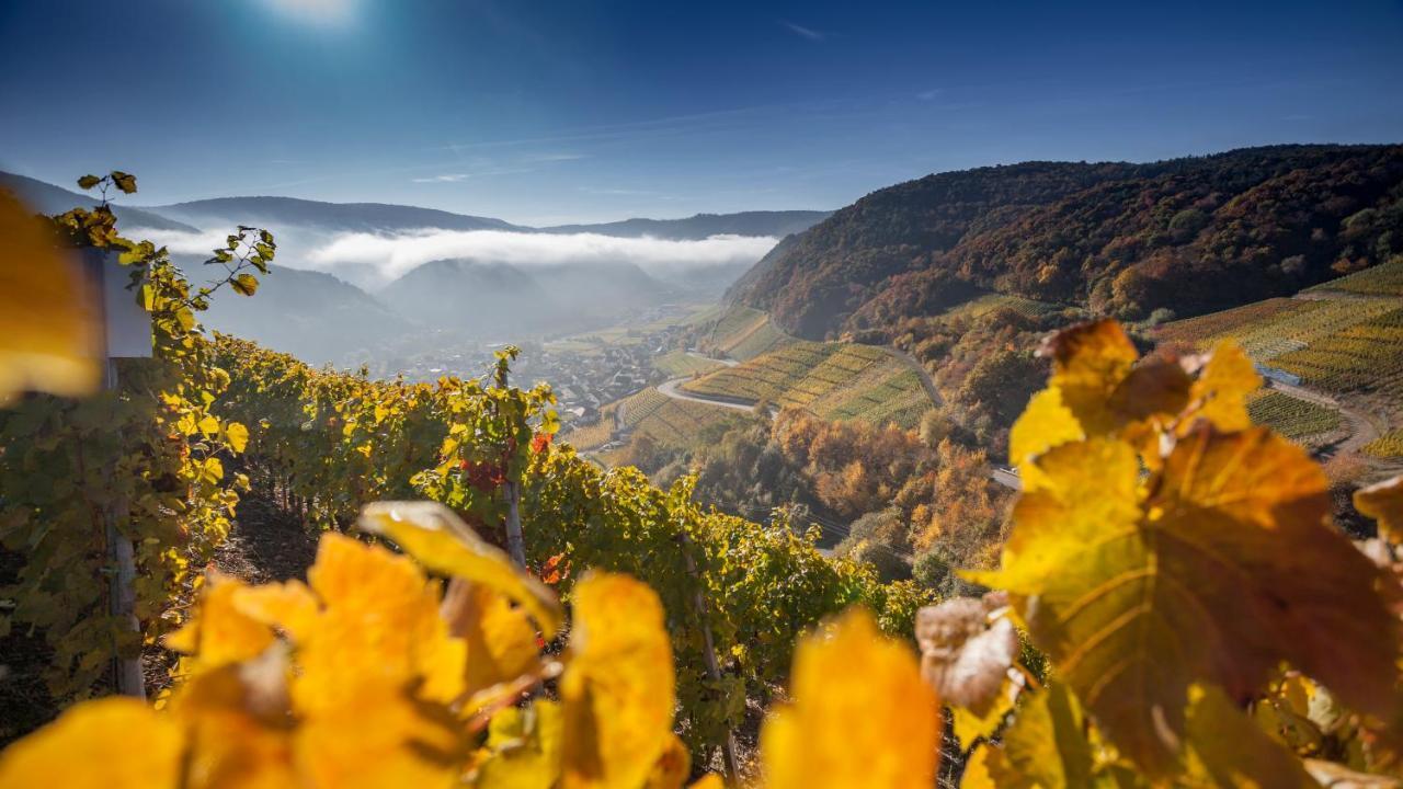 Ferienwohnung Wurzelecht Бад-Ноєнар-Арвайлер Номер фото